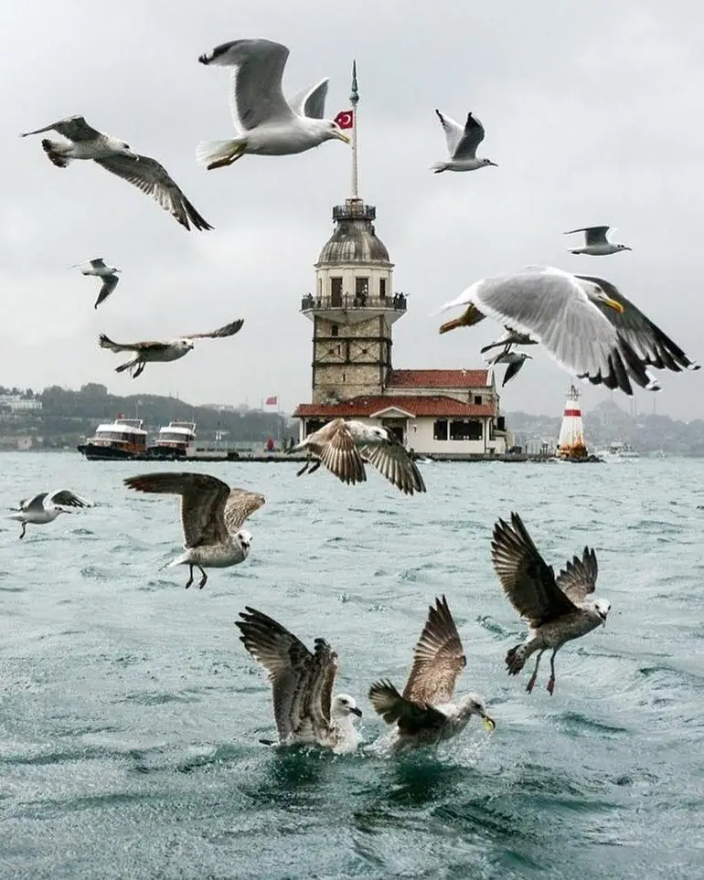 History of the Maiden's Tower
