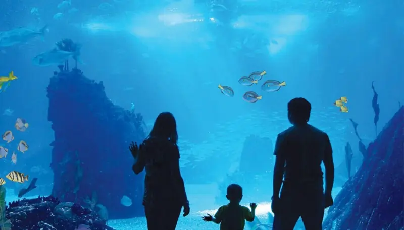 Antalya Aquarium