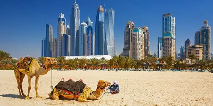 Dubai or Abu Dhabi