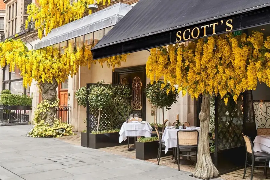 Scott luxury restaurants in London